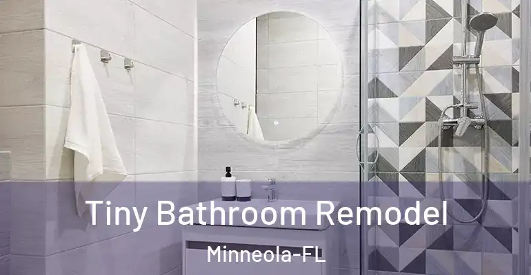 inner Bathroom imggen Tiny Bathroom Remodel Minneola-FL