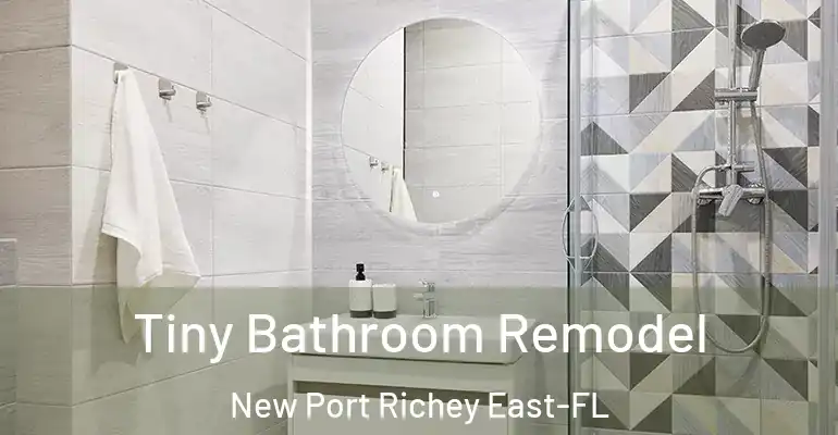 inner Bathroom imggen Tiny Bathroom Remodel New Port Richey East-FL