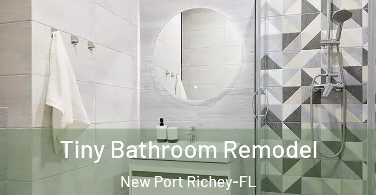 inner Bathroom imggen Tiny Bathroom Remodel New Port Richey-FL