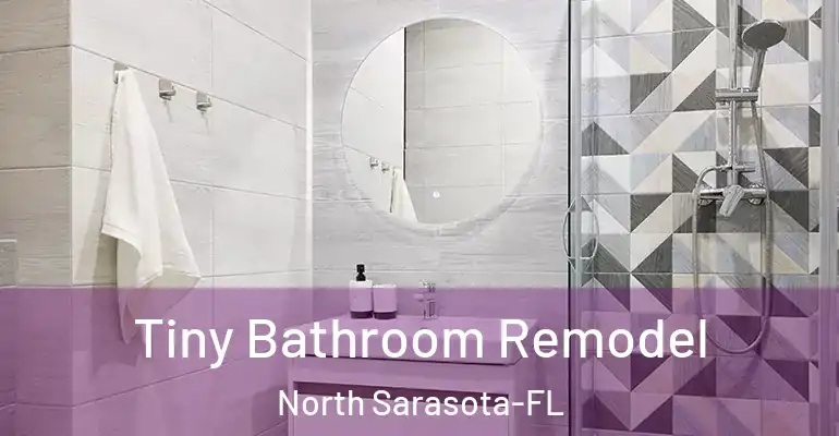 inner Bathroom imggen Tiny Bathroom Remodel North Sarasota-FL