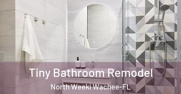 inner Bathroom imggen Tiny Bathroom Remodel North Weeki Wachee-FL