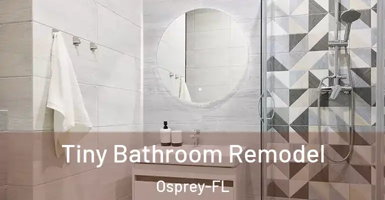 inner Bathroom imggen Tiny Bathroom Remodel Osprey-FL
