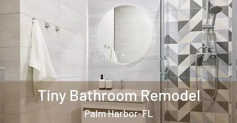 inner Bathroom imggen Tiny Bathroom Remodel Palm Harbor-FL