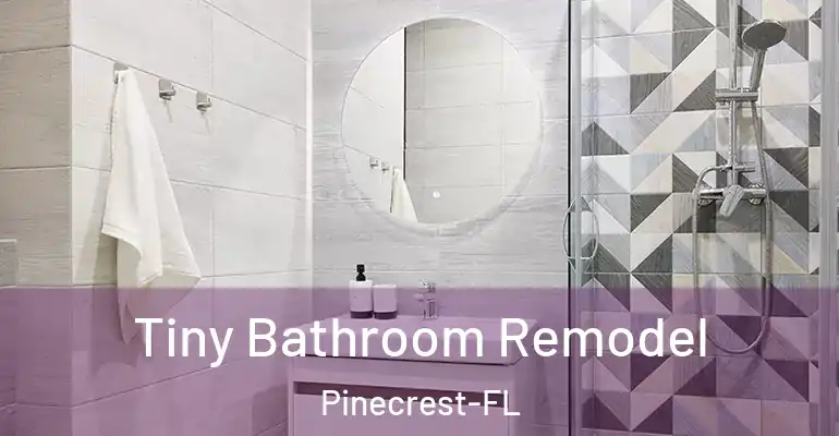 inner Bathroom imggen Tiny Bathroom Remodel Pinecrest-FL