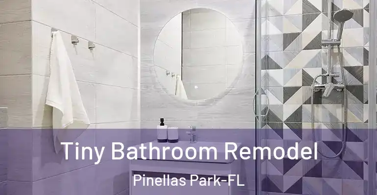 inner Bathroom imggen Tiny Bathroom Remodel Pinellas Park-FL