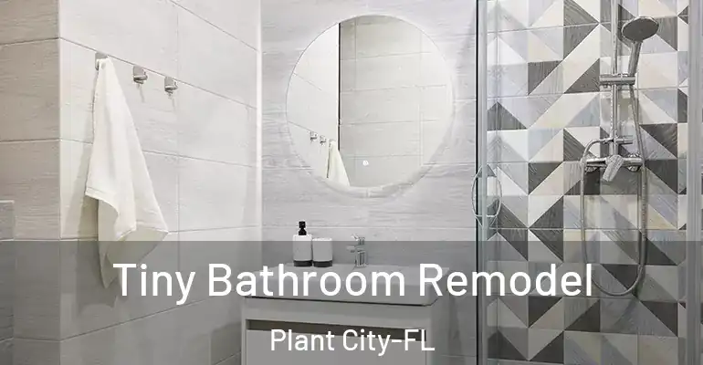 inner Bathroom imggen Tiny Bathroom Remodel Plant City-FL