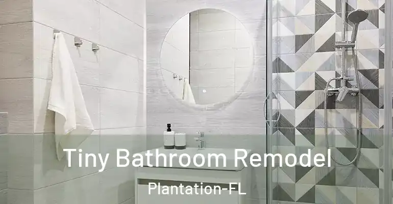 inner Bathroom imggen Tiny Bathroom Remodel Plantation-FL