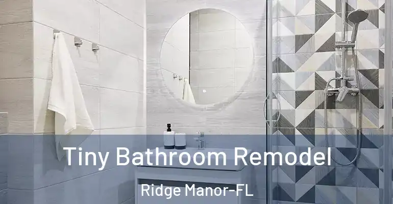 inner Bathroom imggen Tiny Bathroom Remodel Ridge Manor-FL