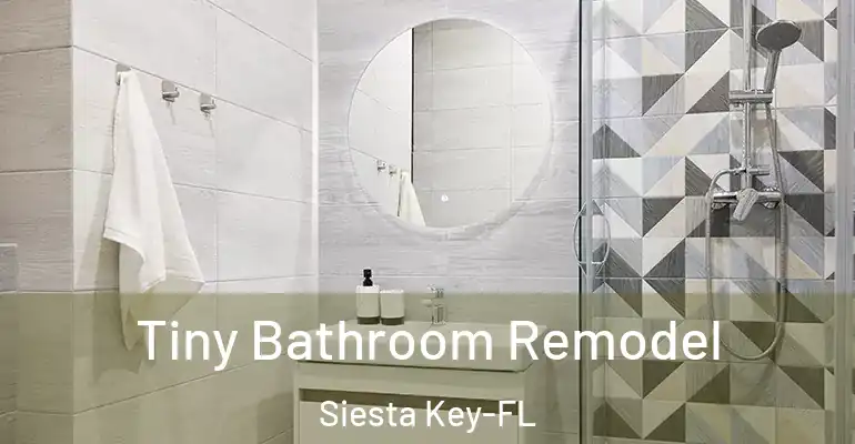 inner Bathroom imggen Tiny Bathroom Remodel Siesta Key-FL