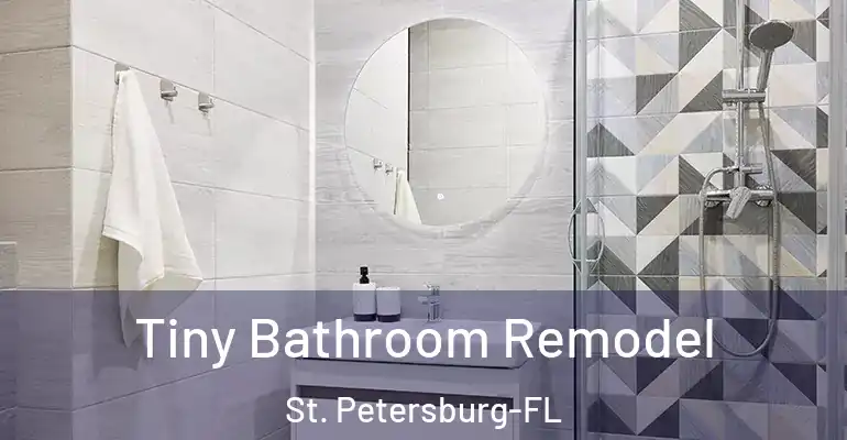 inner Bathroom imggen Tiny Bathroom Remodel St. Petersburg-FL