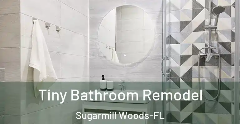 inner Bathroom imggen Tiny Bathroom Remodel Sugarmill Woods-FL