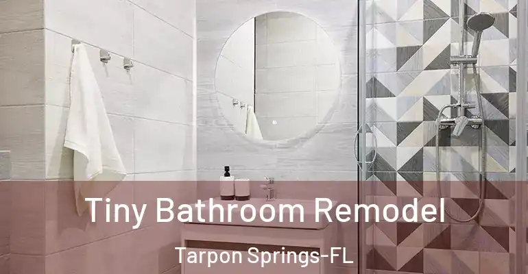 inner Bathroom imggen Tiny Bathroom Remodel Tarpon Springs-FL