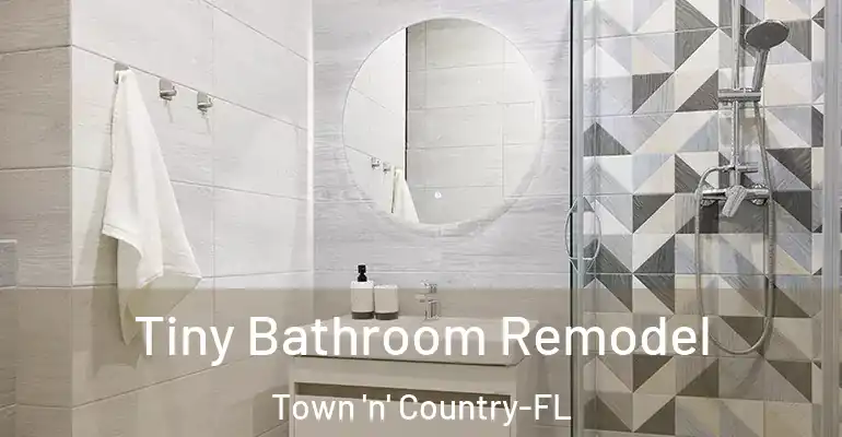 inner Bathroom imggen Tiny Bathroom Remodel Town 'n' Country-FL