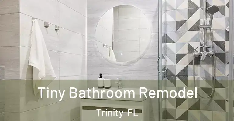 inner Bathroom imggen Tiny Bathroom Remodel Trinity-FL