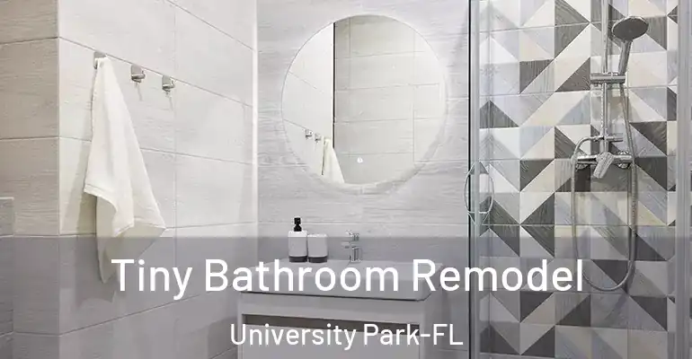 inner Bathroom imggen Tiny Bathroom Remodel University Park-FL