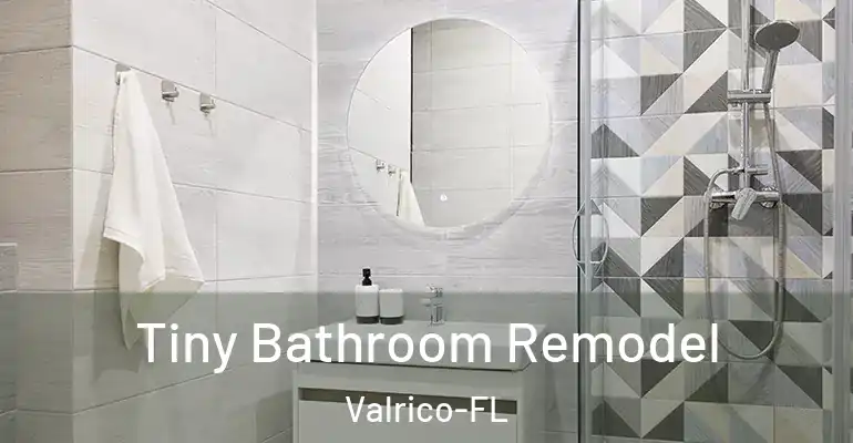 inner Bathroom imggen Tiny Bathroom Remodel Valrico-FL