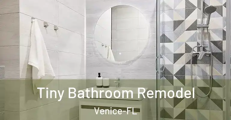 inner Bathroom imggen Tiny Bathroom Remodel Venice-FL