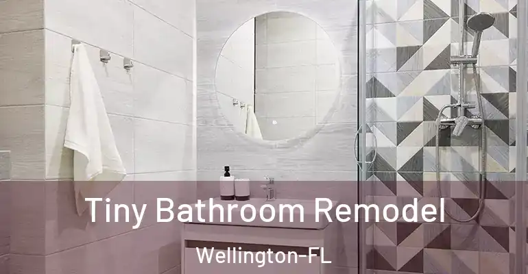 inner Bathroom imggen Tiny Bathroom Remodel Wellington-FL