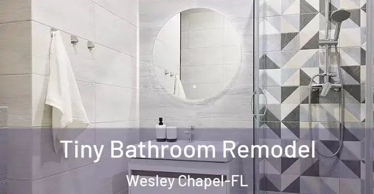 inner Bathroom imggen Tiny Bathroom Remodel Wesley Chapel-FL