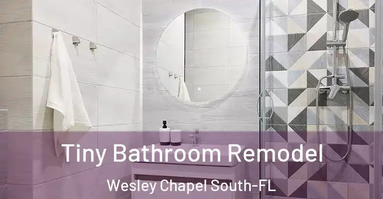 inner Bathroom imggen Tiny Bathroom Remodel Wesley Chapel South-FL