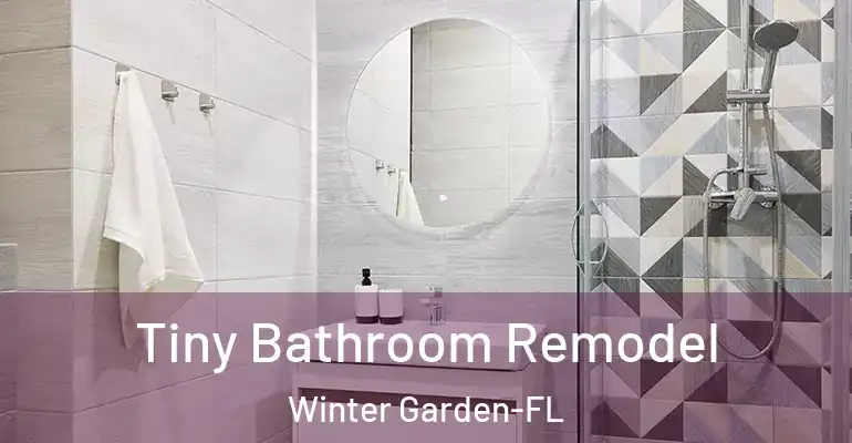 inner Bathroom imggen Tiny Bathroom Remodel Winter Garden-FL