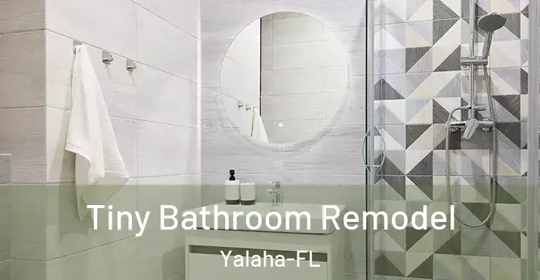 inner Bathroom imggen Tiny Bathroom Remodel Yalaha-FL