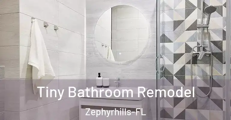 inner Bathroom imggen Tiny Bathroom Remodel Zephyrhills-FL