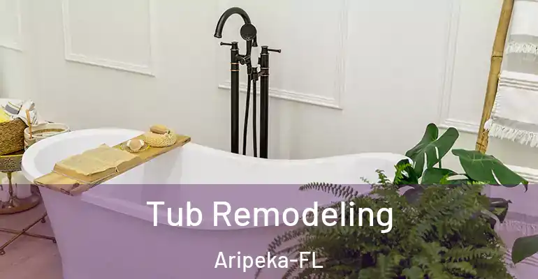 inner Bathroom imggen Tub Remodeling Aripeka-FL
