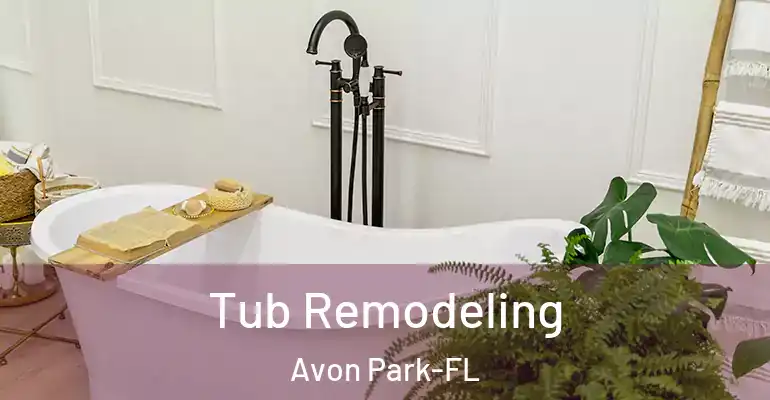 inner Bathroom imggen Tub Remodeling Avon Park-FL