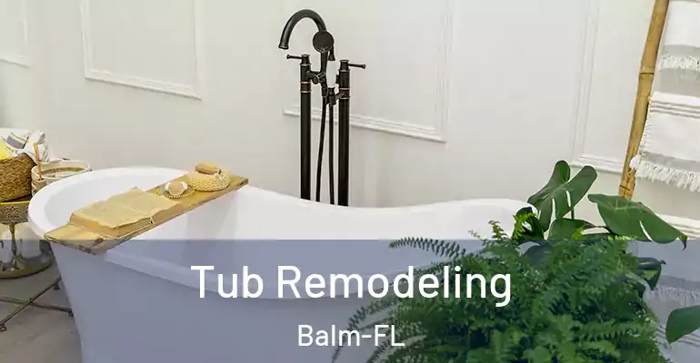 inner Bathroom imggen Tub Remodeling Balm-FL