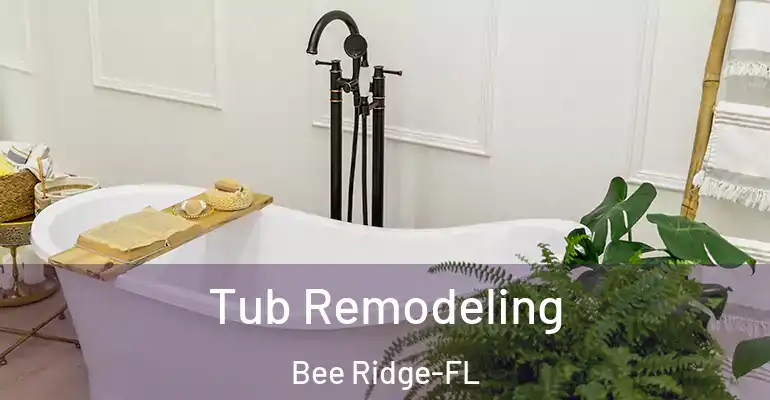 inner Bathroom imggen Tub Remodeling Bee Ridge-FL