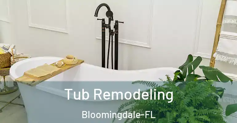 inner Bathroom imggen Tub Remodeling Bloomingdale-FL