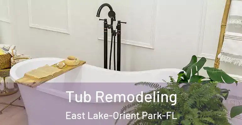 inner Bathroom imggen Tub Remodeling East Lake-Orient Park-FL