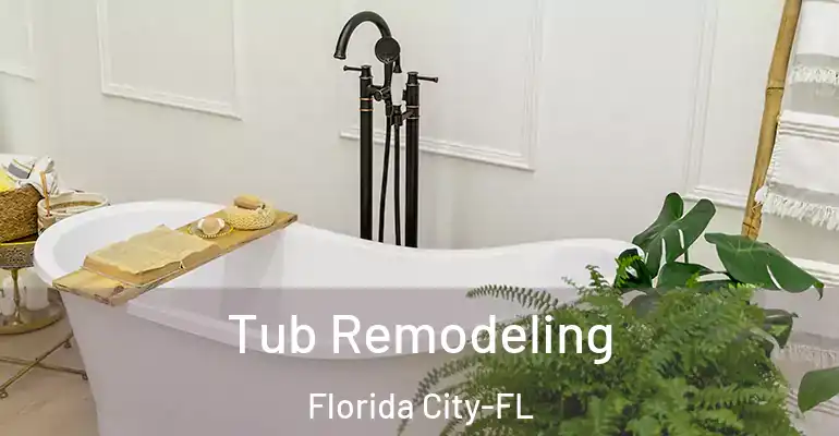 inner Bathroom imggen Tub Remodeling Florida City-FL