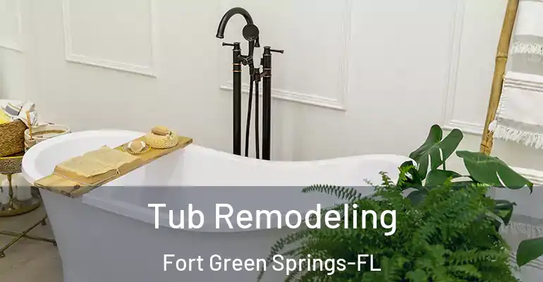 inner Bathroom imggen Tub Remodeling Fort Green Springs-FL