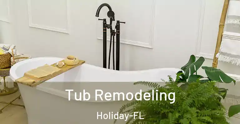 inner Bathroom imggen Tub Remodeling Holiday-FL