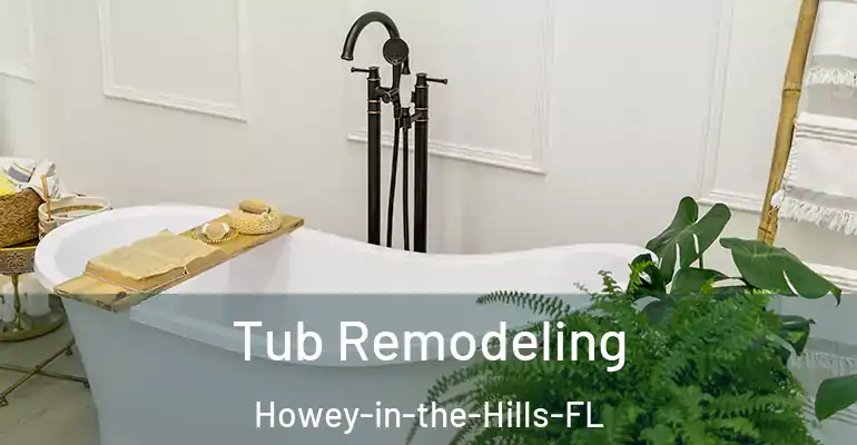 inner Bathroom imggen Tub Remodeling Howey-in-the-Hills-FL