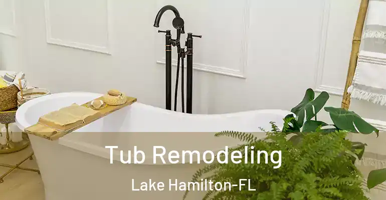 inner Bathroom imggen Tub Remodeling Lake Hamilton-FL