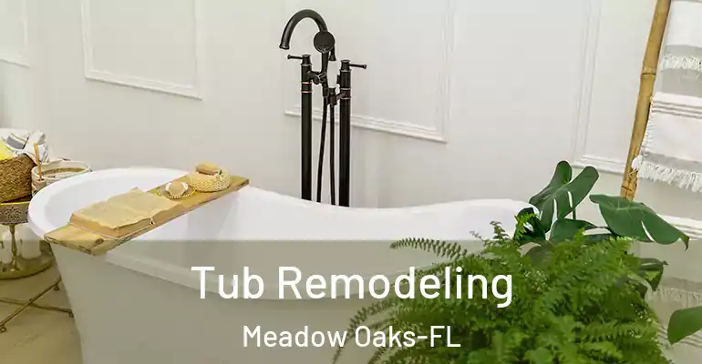 inner Bathroom imggen Tub Remodeling Meadow Oaks-FL