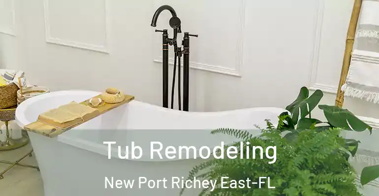 inner Bathroom imggen Tub Remodeling New Port Richey East-FL