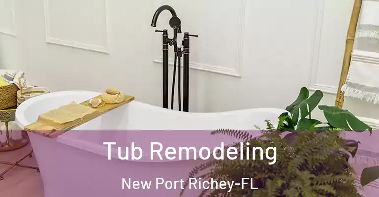 inner Bathroom imggen Tub Remodeling New Port Richey-FL
