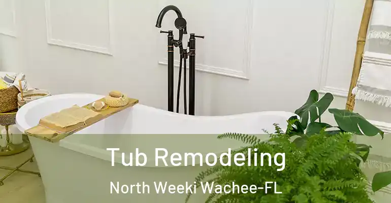inner Bathroom imggen Tub Remodeling North Weeki Wachee-FL