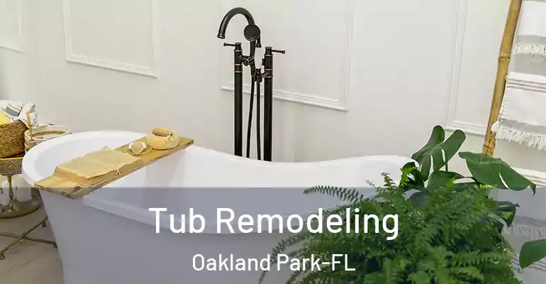 inner Bathroom imggen Tub Remodeling Oakland Park-FL