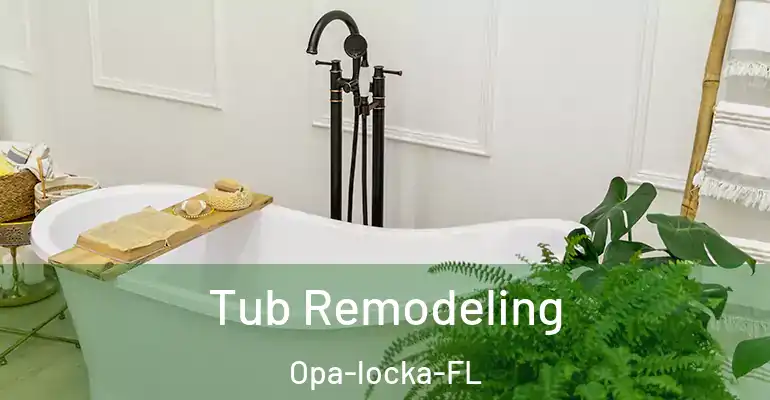 inner Bathroom imggen Tub Remodeling Opa-locka-FL