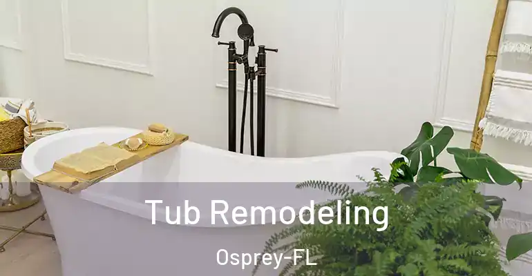 inner Bathroom imggen Tub Remodeling Osprey-FL