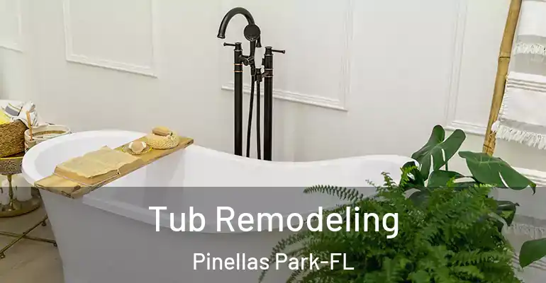 inner Bathroom imggen Tub Remodeling Pinellas Park-FL
