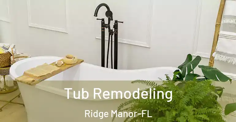 inner Bathroom imggen Tub Remodeling Ridge Manor-FL