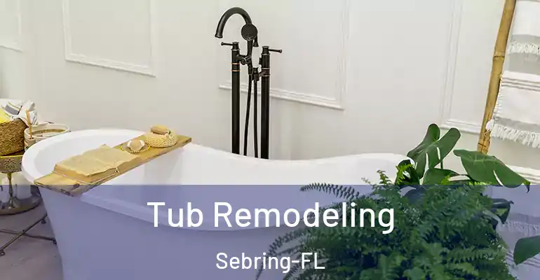 inner Bathroom imggen Tub Remodeling Sebring-FL
