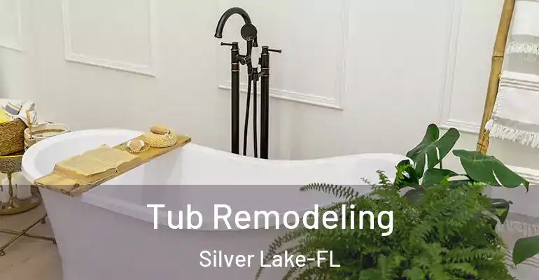 inner Bathroom imggen Tub Remodeling Silver Lake-FL