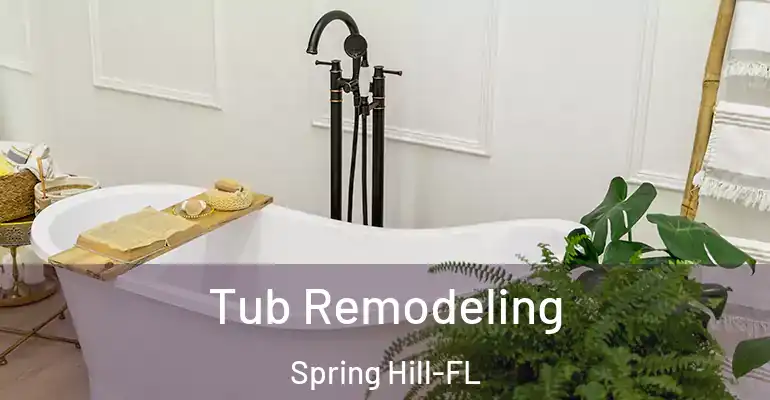 inner Bathroom imggen Tub Remodeling Spring Hill-FL